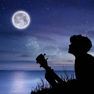 Как роза мила!