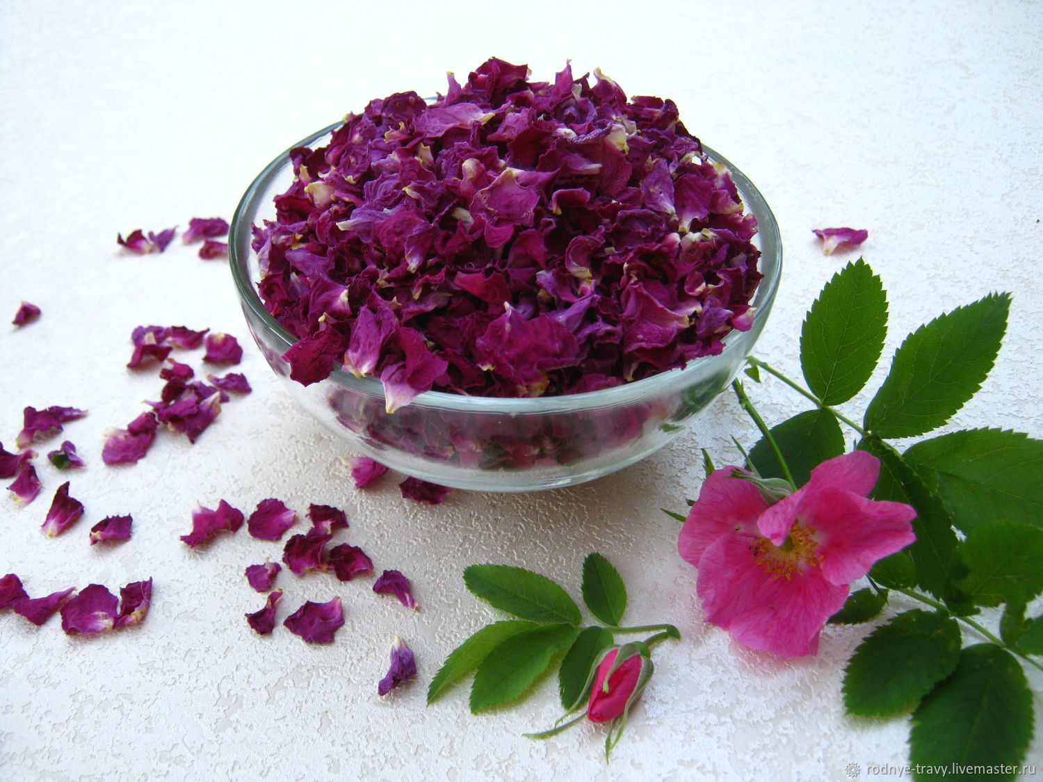 Лепестки шиповника