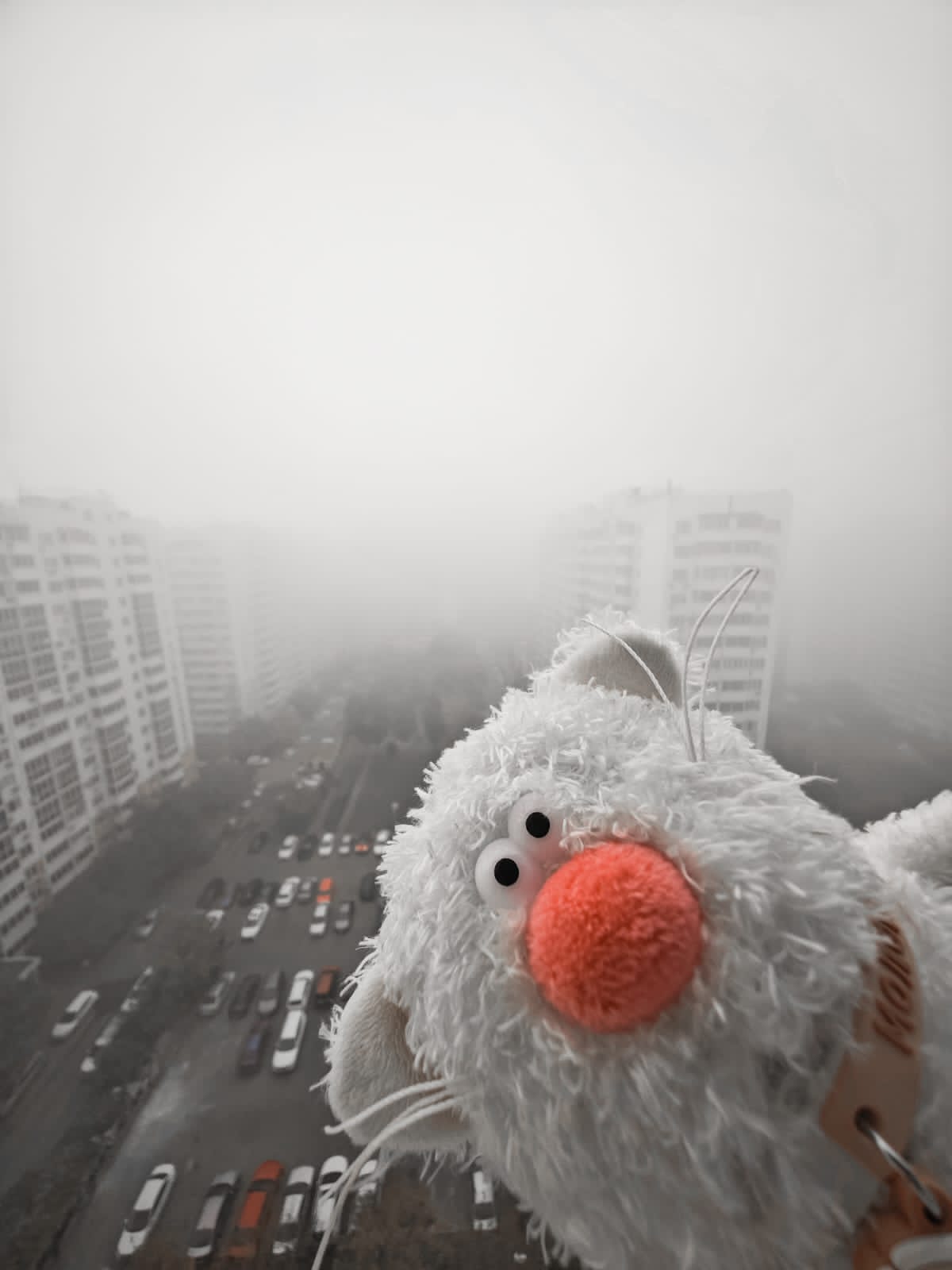 Туман укрыл весь город с головой