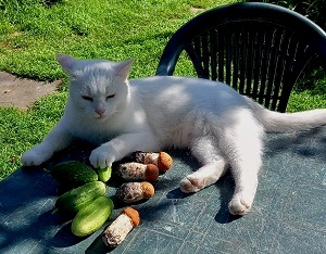 На страже богачества...