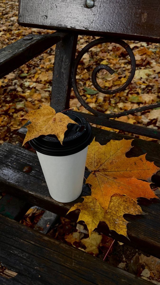 В преддверии снегопада