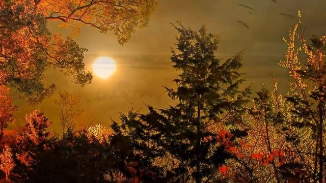 Кареокий вечер бродит по верхам