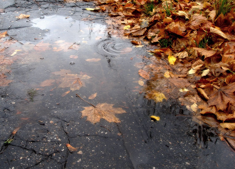 Ноябрь шествует по миру