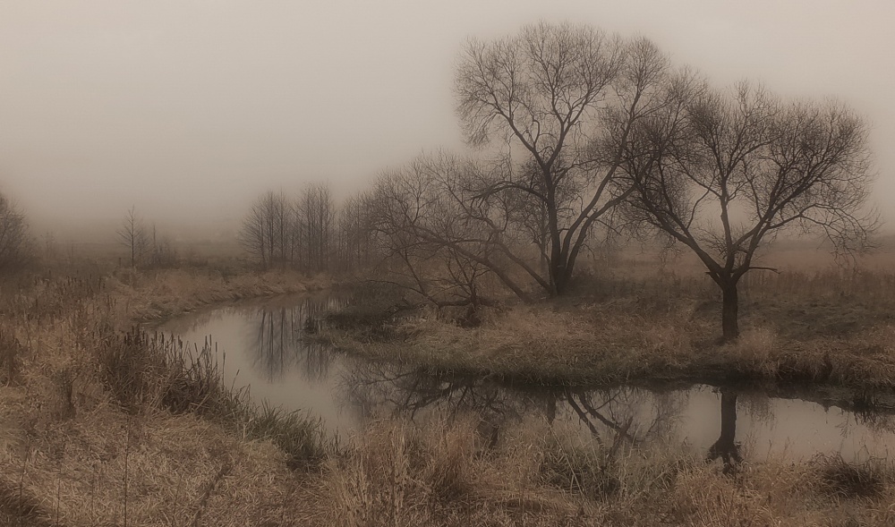 Ноябрь в тему посвятил