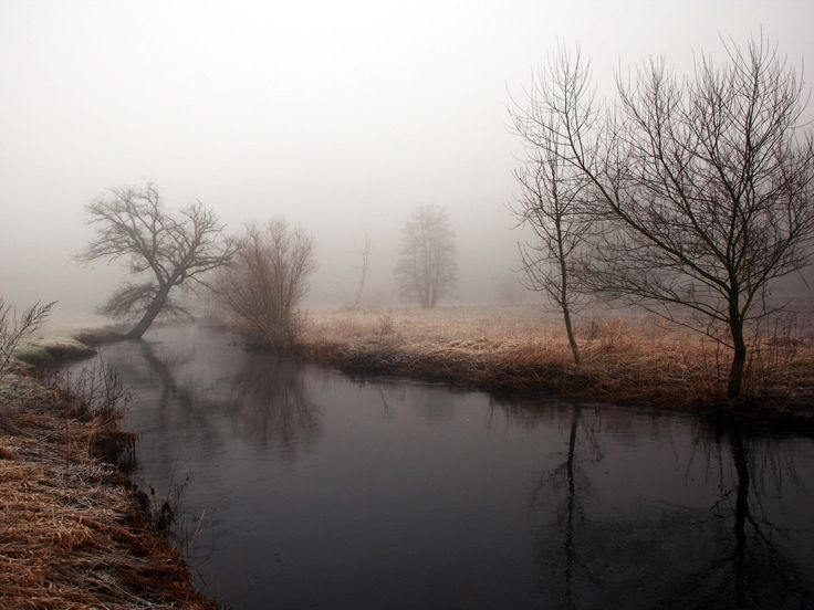 Пускай ноябрьский подвох