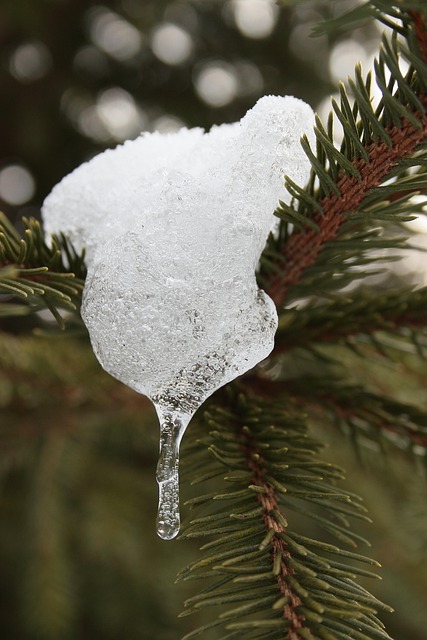 Декабрьские оттепели