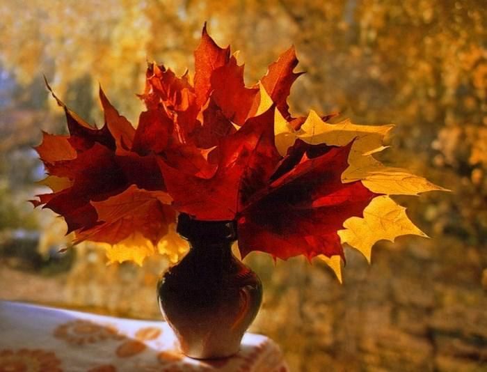 2689- Забыть - ноль-ноль