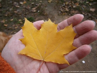 Осенняя тишина