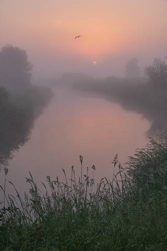 Речка дышит туманом