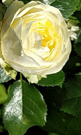 Беречь бы надо всё