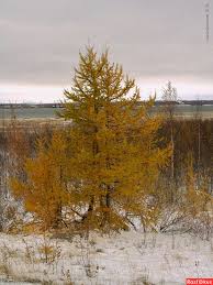 Стряхнула одеяло