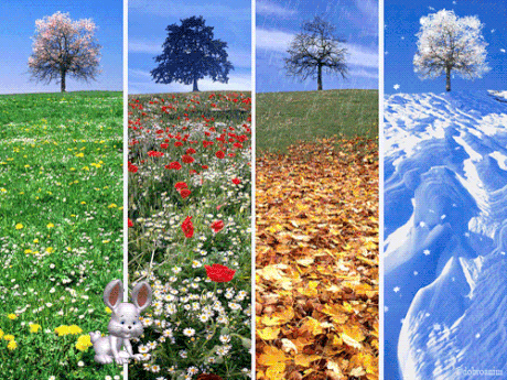 Времена года...