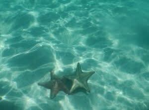 Звёзды в глубине