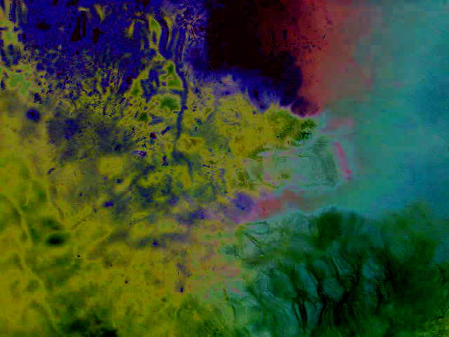 На берёзе грусть о лете