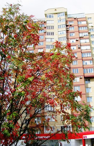 Ноябрь с Плюсом...