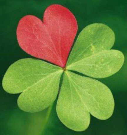 Что нужно для счастья...