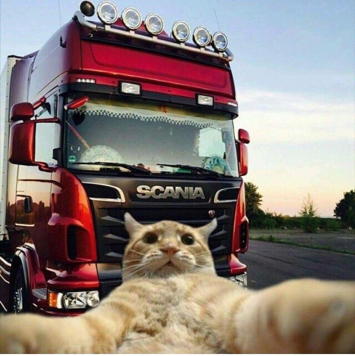 Дальнобойщик