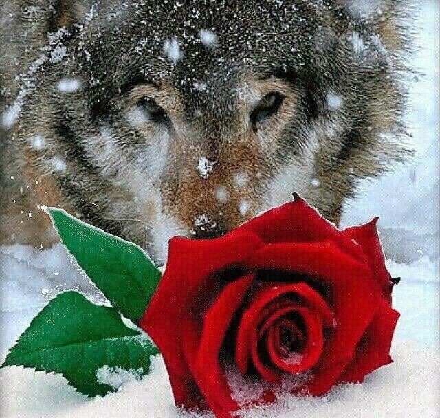 С новым годом мама!!!