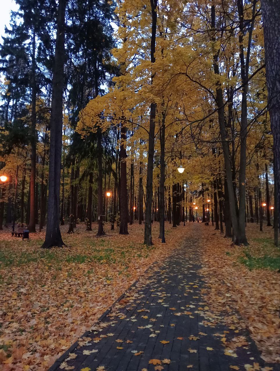 Я так хотела, что бы ты мне часто снился