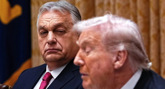 Похоже Трамп дал Путину карт бланш!