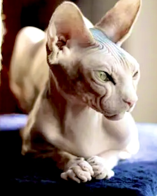 Отклик на басню