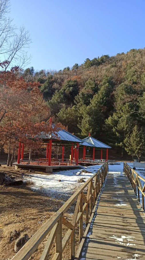 Осень, любя, отпускаю