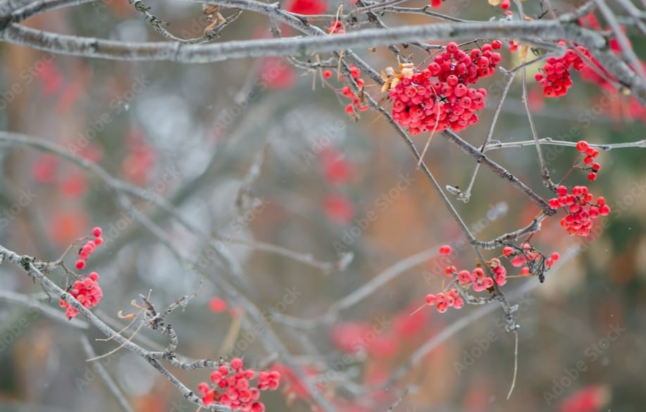 Ноябрьское небо