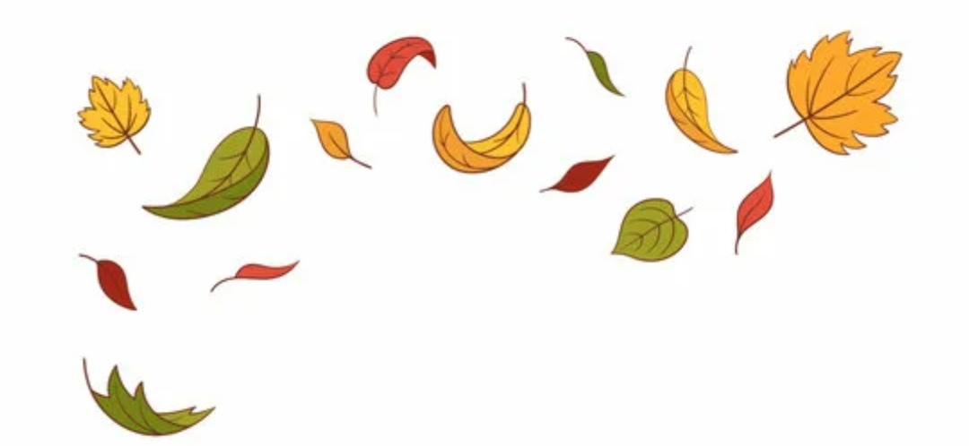 Порядок в саду