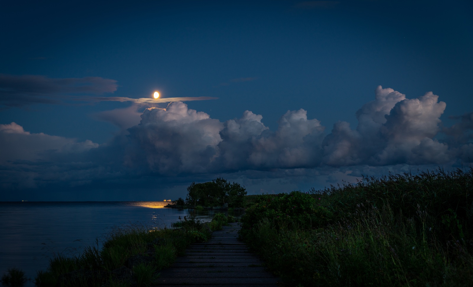 Теперь наяву