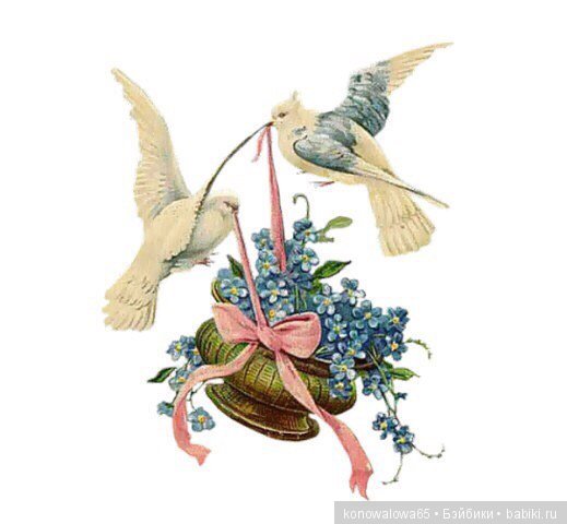 Новая весточка, клубяне!