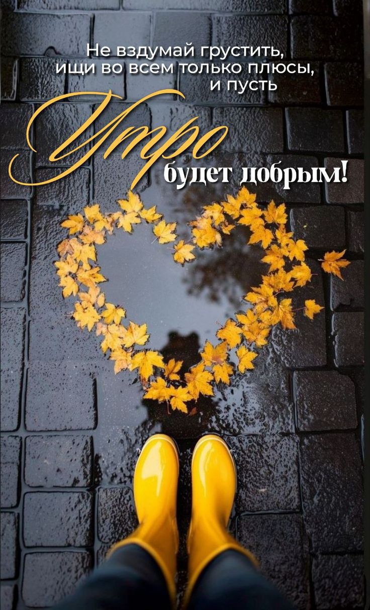 Вчерашние тени