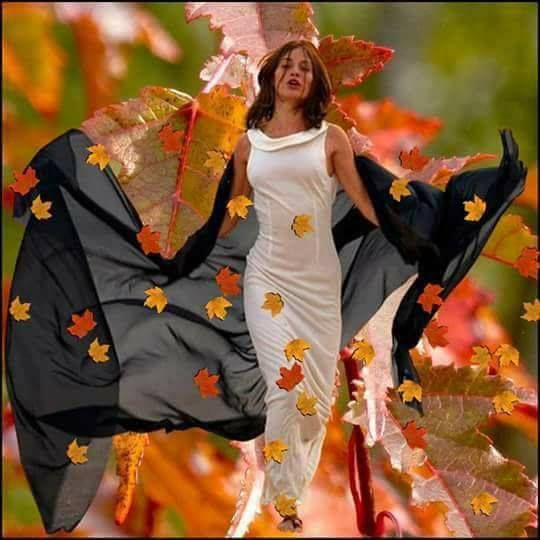 Рецензия-экспромт на Осень собрала моделей Надежда