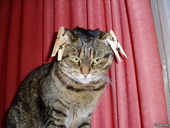 14 лет чтения стихов