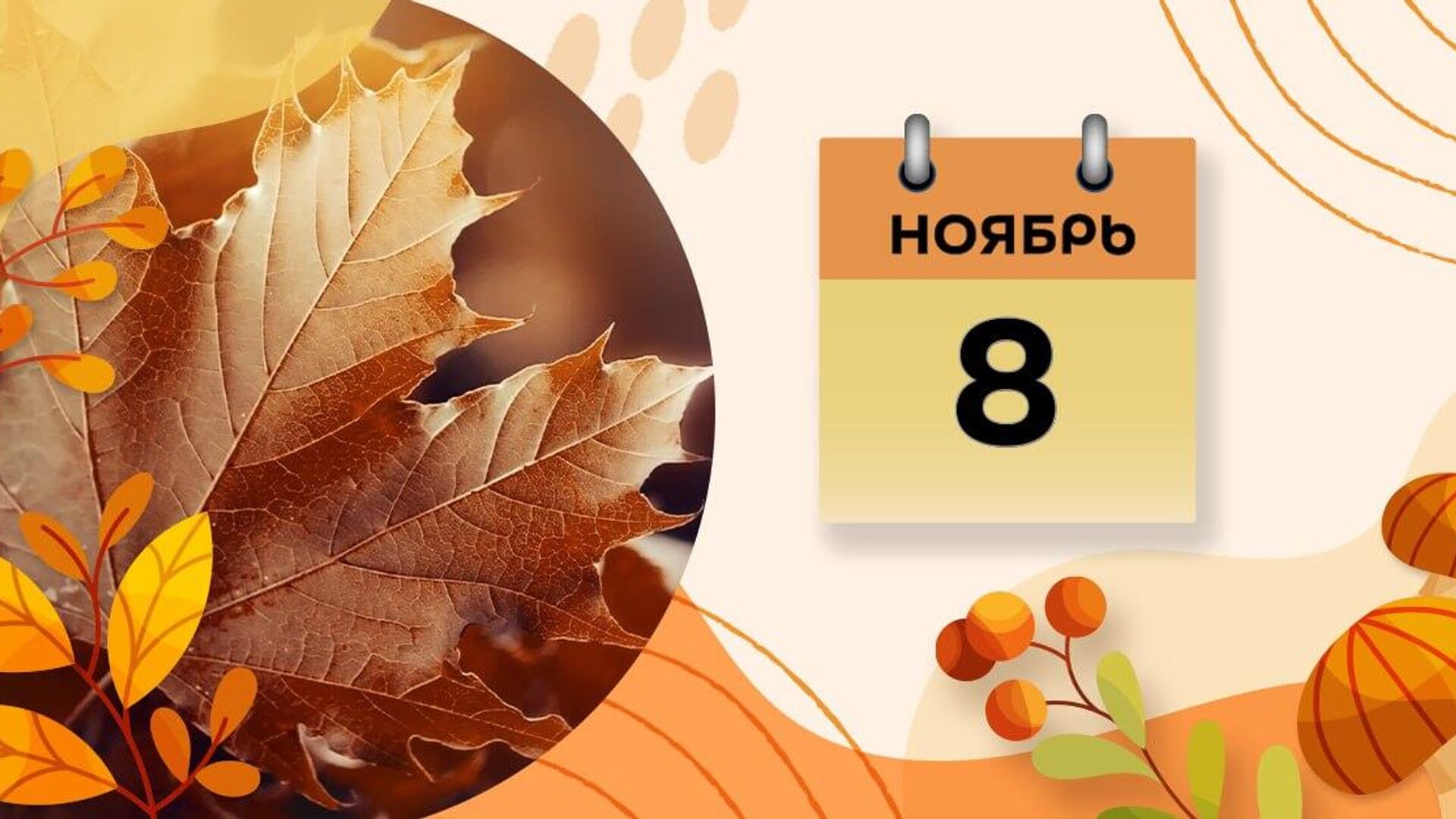 Восьмое ноября 2025 г