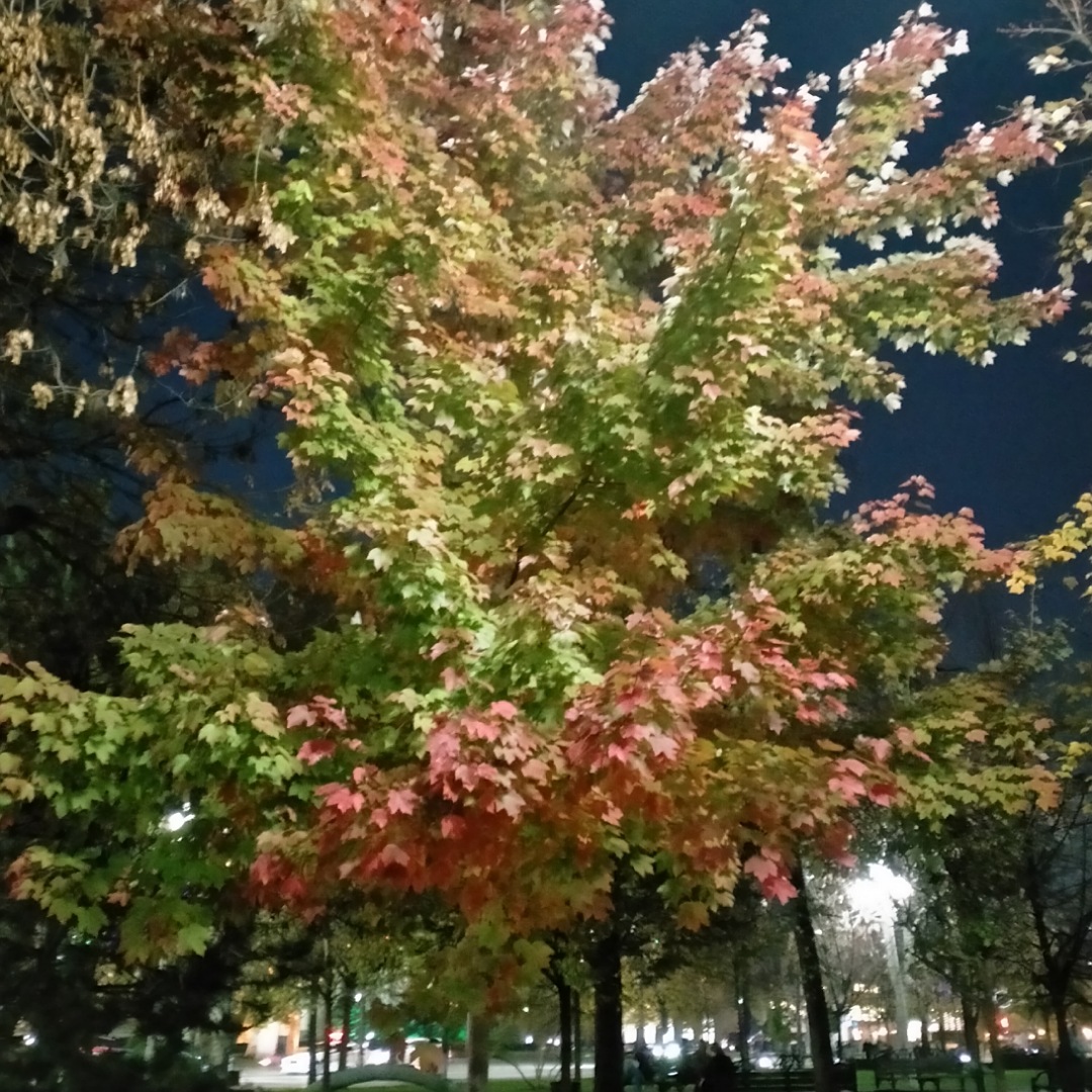 Но ты ведь ветреный