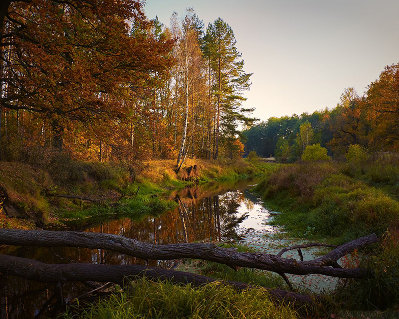Недолог твой, август, век