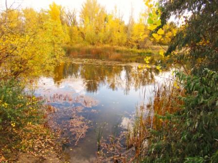 Осень тройка