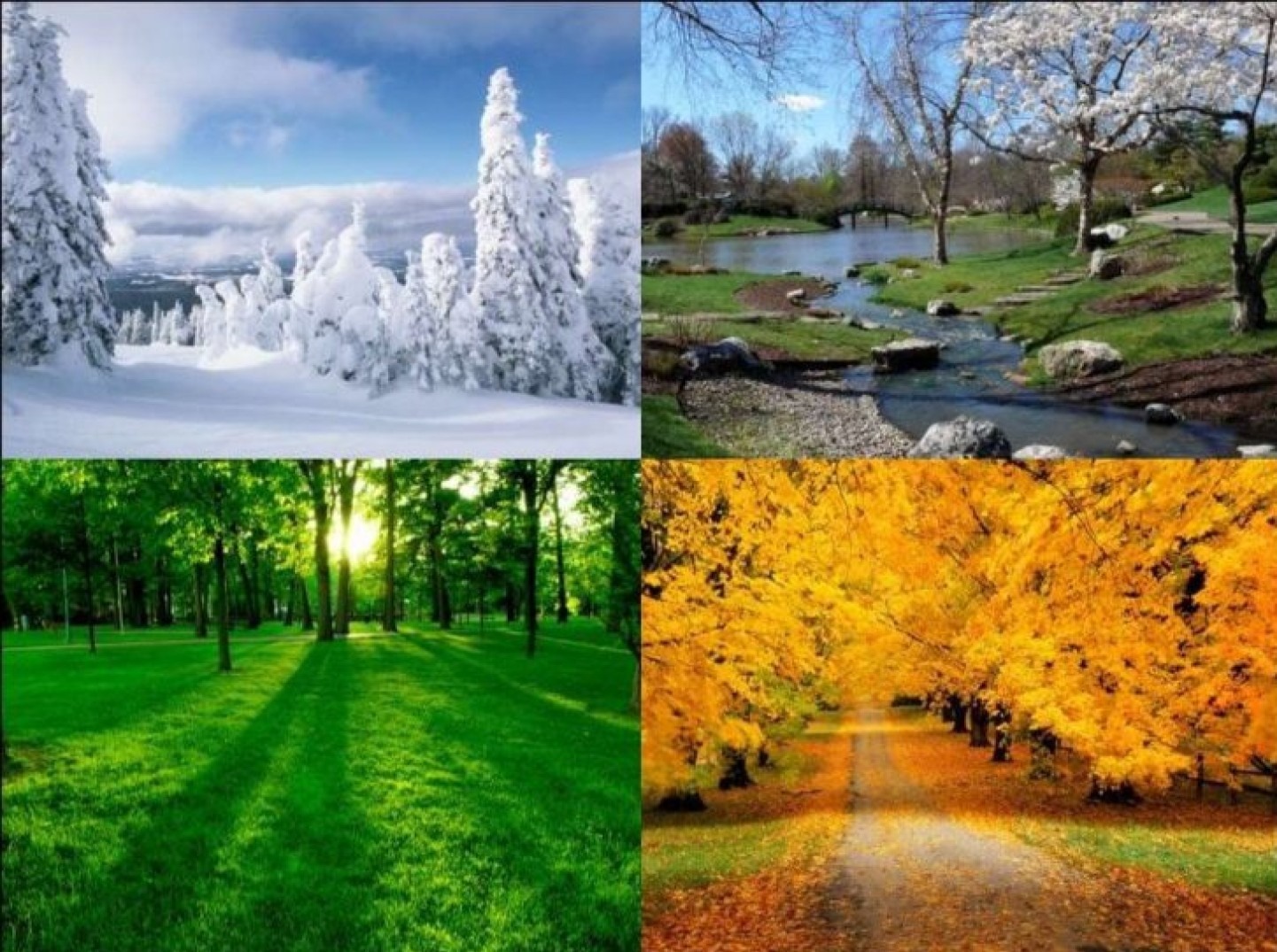 Четыре струны