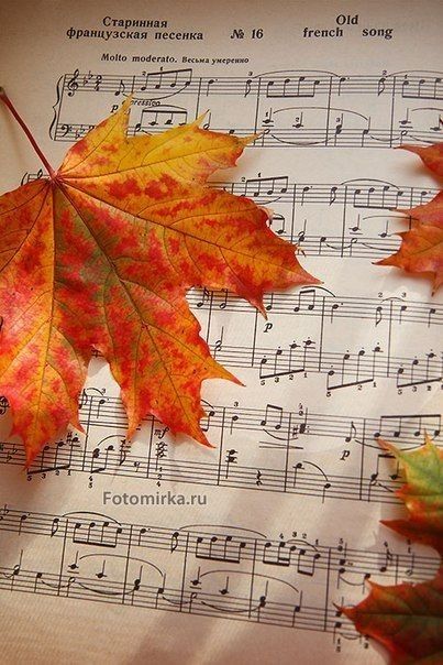 Осенью любим