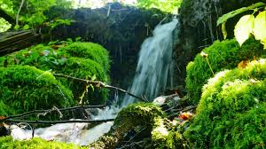 Нам небо не светит ночное!