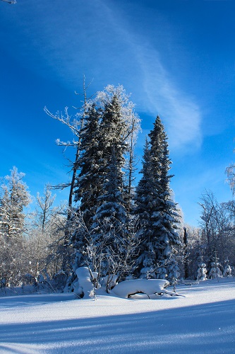За исключением