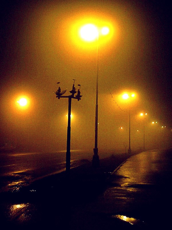 Сживают нас со света фонари