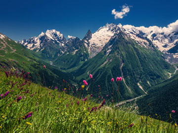 Мелодия Кавказа