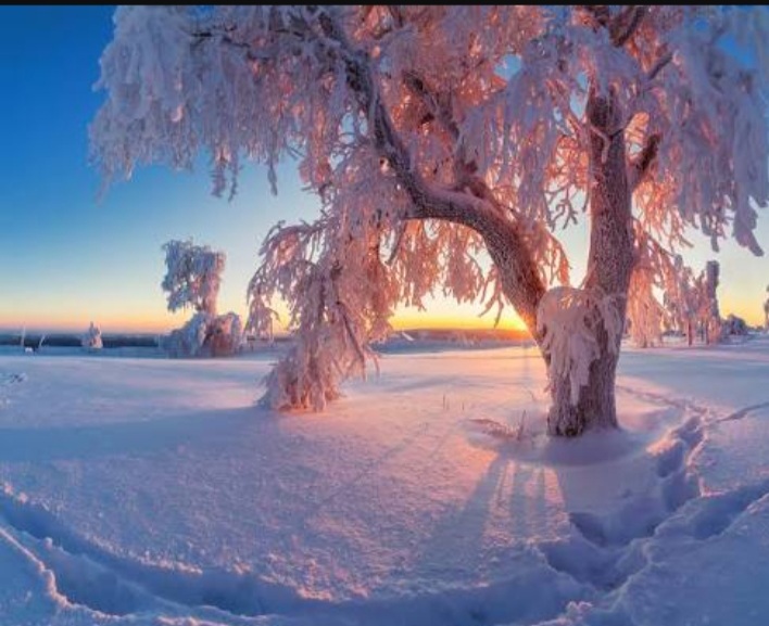 Утро ноября