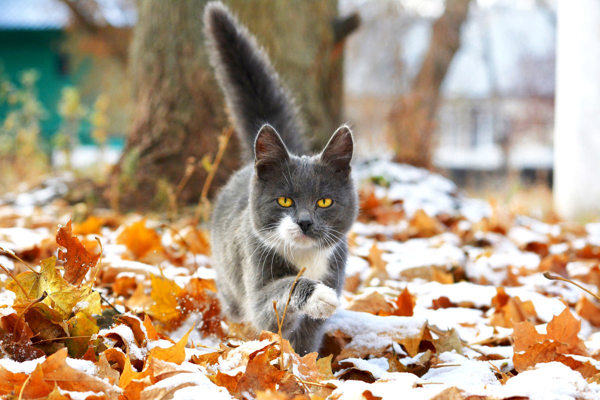 Утром заморозки видно...