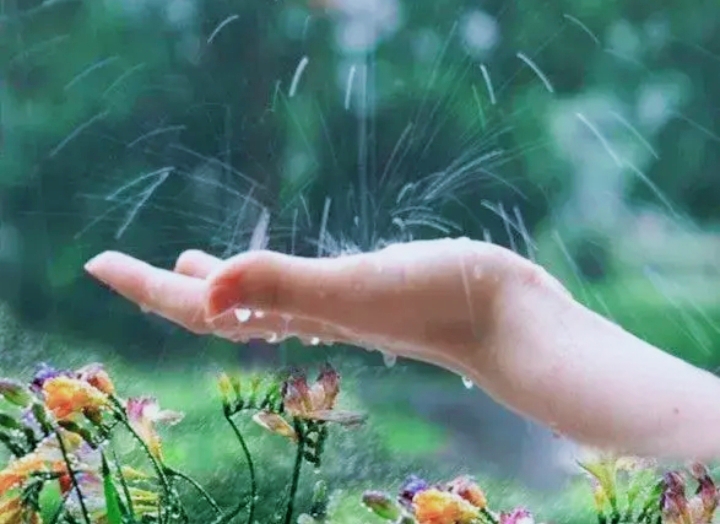 Ловлю я дождь в ладони