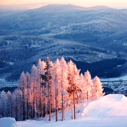 Лебединое Крыло