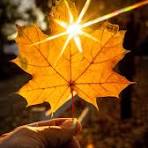 Приход осени