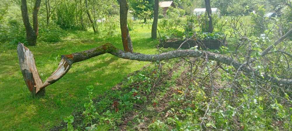 Господи помилуй