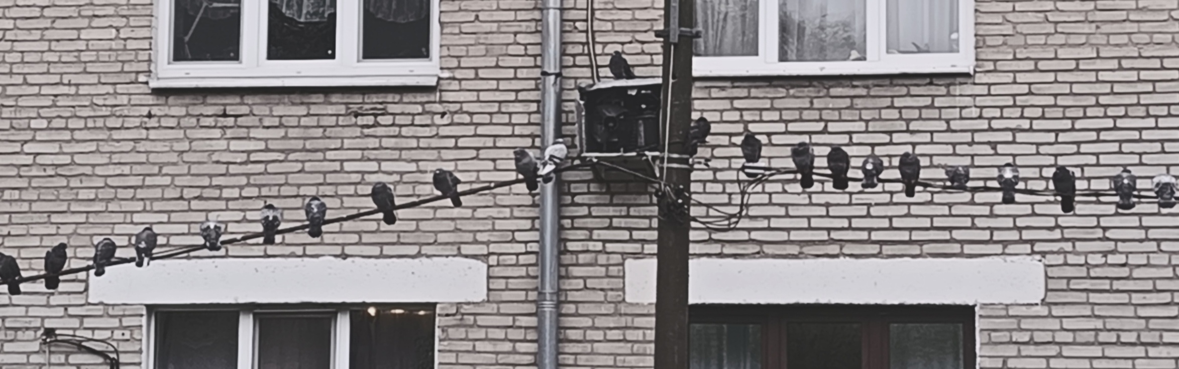 Ноябрьское осеннее